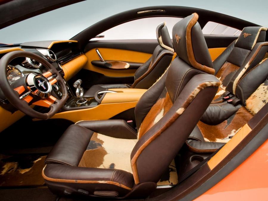  Ford Mustang Giugiaro Concept 2006 года  (фото 53 из 68)